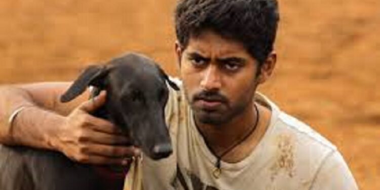 பரியேறும் பெருமாள் படத்தில் முதலில் நடிக்க இருந்தது யார் தெரியுமா?