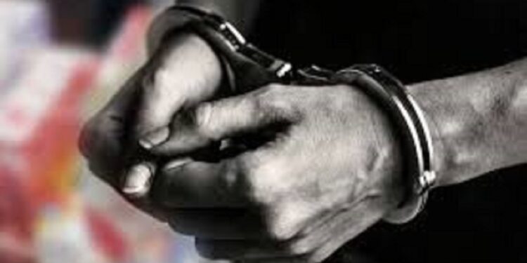 மாடுகளை இறைச்சிக்காக கடத்திய கும்பல் கைது!