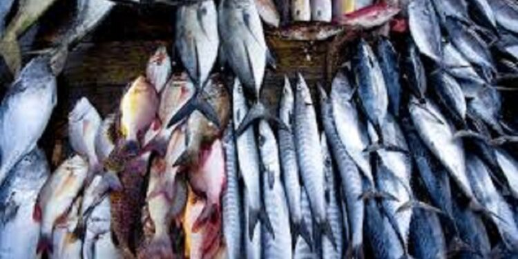 நாட்டில் மீன்களின் விலை அதிகரிப்பு!