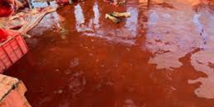 சுகாதார சீர்கேட்டுடன் இயங்கிய இறைச்சி விற்பனை நிலையத்திற்கு சீல் வைப்பு!