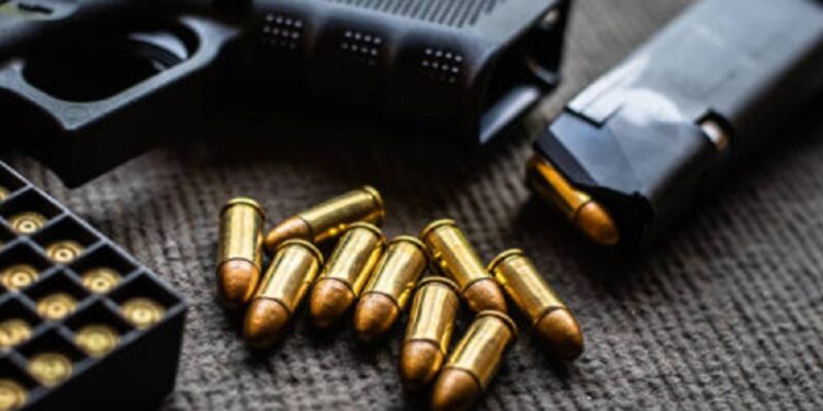 காட்டுப் பகுதி ஒன்றில் இருந்து துப்பாக்கி மற்றும் தோட்டாக்கள் மீட்பு!