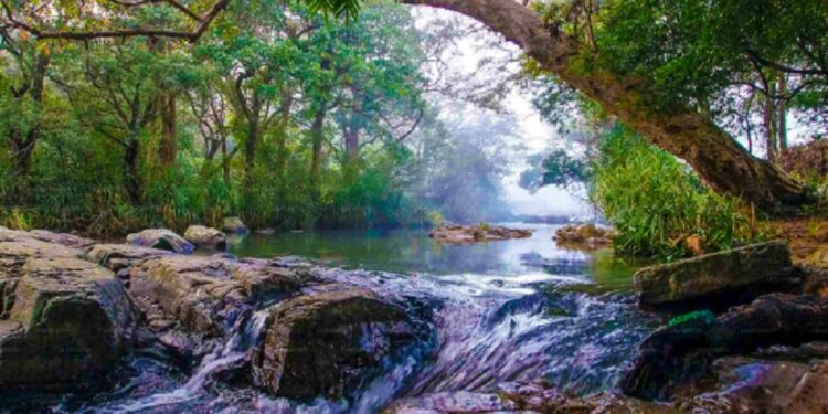 இந்த பகுதிக்கு செல்ல வேண்டாம் மக்களுக்கு எச்சரிகை!