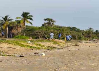 யாழில் சட்டவிரோத காணி அபகரிப்பு!