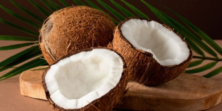 நாடாளாவிய ரீதியில் தேங்காயின் விலையில் வீழ்ச்சி!