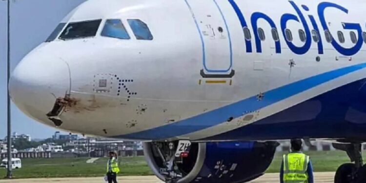 அவசரமாக தரையிறக்கப்பட்ட விமானம்!