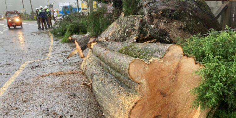 சரணாலயத்தை பார்வையிட சென்ற சுற்றுலா பயணிக்கு நிகழ்ந்த ஆபத்து!