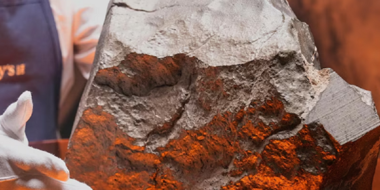 உலகின் விசித்திர பொருட்கள் ஏலத்திற்கு!