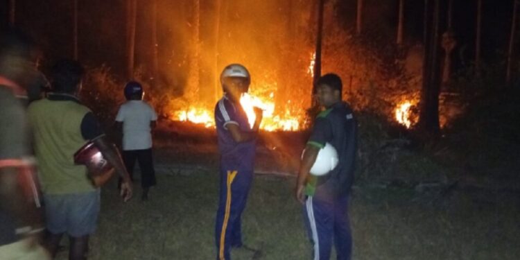 யாழ் கசூரினா கடற்கரையில் தீ விபத்து!