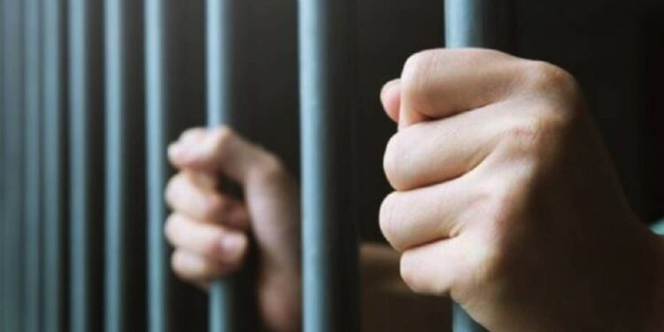 ஜனாதிபதியின் பொது மன்னிப்பை தவறாக பயன்படுத்தியவருக்கு தண்டனை!