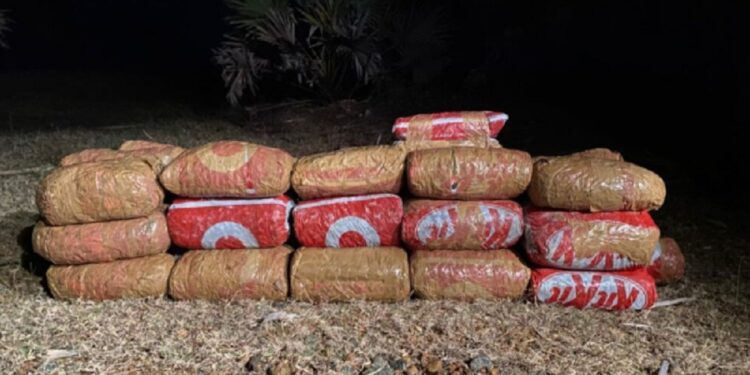 யாழில் மீட்க்கப்பட்ட பெரும் தொகை கஞ்சா!