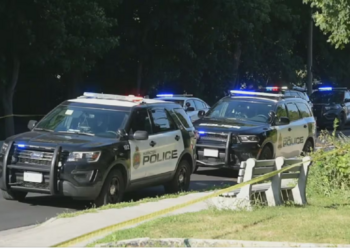 கனடா  ஹாமில்டன் நகரில் துப்பாக்கிச்சூடு!