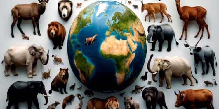 விண்வெளிக்கு சென்று உயிருடன் திரும்பிய உயிரினங்கள்!