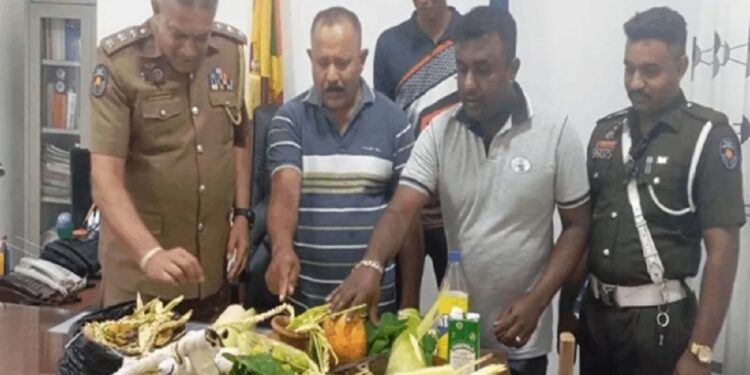 வீட்டின் பின்னால் புதையல் தோண்டிய ஜவர் கைது!