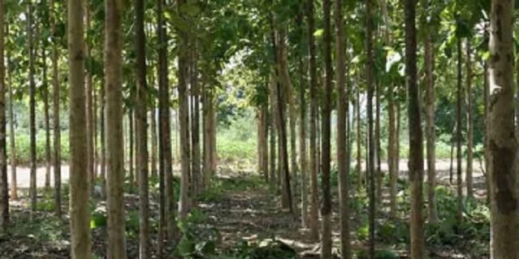 கைகலப்பால் பறிபோன உயிர்!