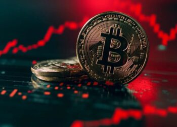 வரலாறு காணாத உயர்வை சந்தித்த பிட்காயின்