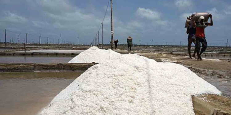 குறைவடைந்த உப்பு விலை!