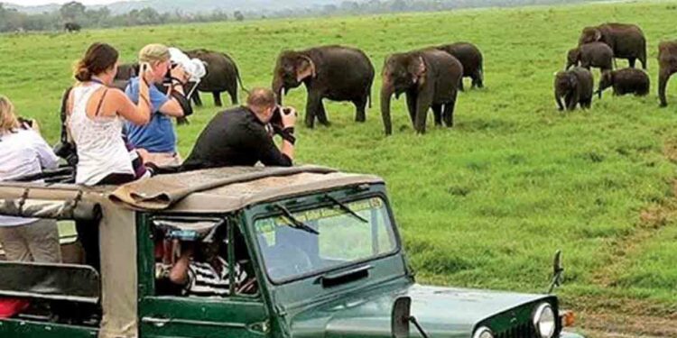 நாட்டுக்கு வரும் சுற்றுலா பயணிகளின் எண்ணிக்கை அதிகரிப்பு!