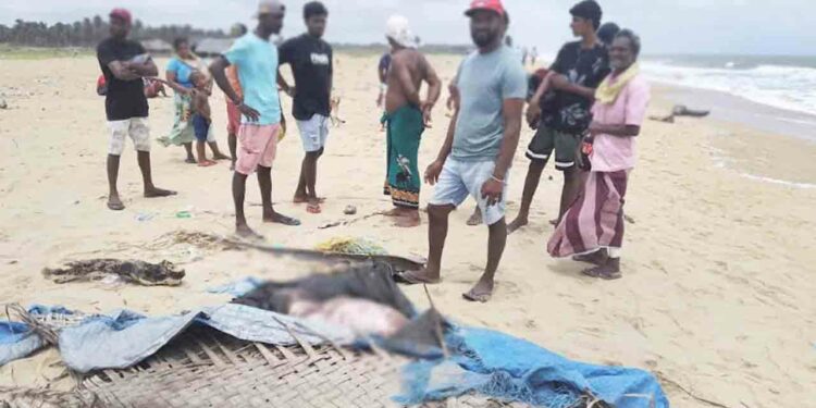 காணமல் போன மீனவரின் சடலம் மீட்பு!