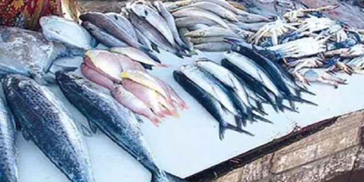 யாழில் மீன் கொள்வனவு செய்பவர்களுக்கான முக்கிய அறிவிப்பு!