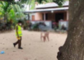 யாழில் குடும்பஸ்தரை தாக்கி கொன்ற நபர் கைது!