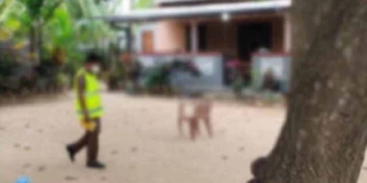 யாழில் குடும்பஸ்தரை தாக்கி கொன்ற நபர் கைது!