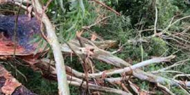 மலையகத்தில் தொடரும் சீரற்ற காலநிலை!