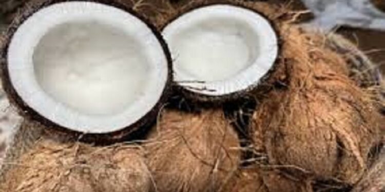 தேங்காய் ஏற்றுமதி தொடர்பில் வெளியான மகிழ்ச்சியான அறிவிப்பு!