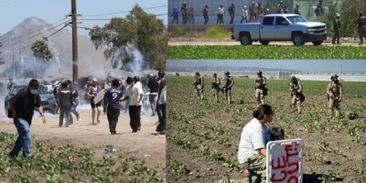 அமெரிக்காவில் ஒரே நாளில் கைதான வெளிநாட்டவர்கள்!