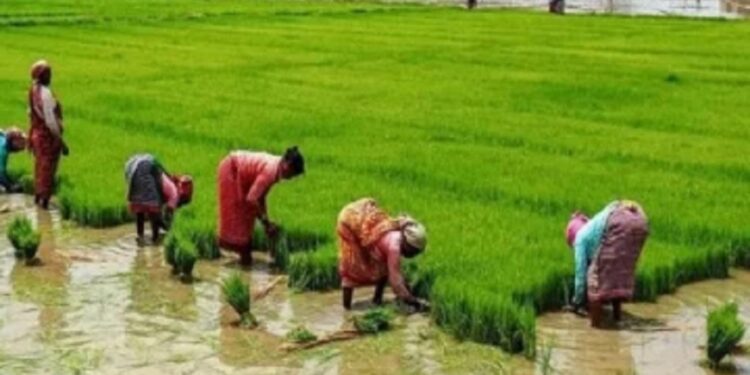 அரசிடம் விவசாயிகள் முன் வைத்துள்ள கோரிக்கை!