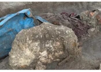 தொடரும் செம்மணி அகழ்வுப்பணிகள்!