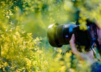 செம்மணியில் அத்துமீறி புகைப்படம் எடுத்தவர்களுக்கு நிகழந்த கதி!