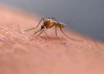 டொரொன்டோவில் வைரஸ் தொற்று தொடர்பில் எச்சரிக்கை !