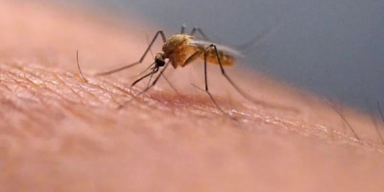 டொரொன்டோவில் வைரஸ் தொற்று தொடர்பில் எச்சரிக்கை !