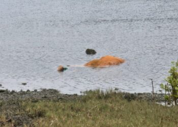 தொண்டைமானாறு கடல் நீர் ஏரியில் இருந்து பெண்ணின் சடலம் மீட்பு!