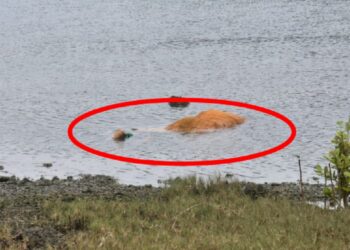 யாழ் தொண்டமனாறு கடல் நீரேரியில் மீட்க்கப்பட்ட பெண்ணின் சடலம் தொடர்பில் வெளியான மற்றுமோர் தகவல்!