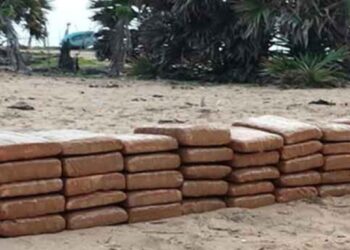 யாழில் நிலத்திற்கு கீழ் பதுக்கி வைக்கப்பட்ட போதைப்பொருள்  மீட்பு!