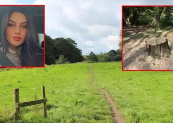 லண்டனில் பூங்காவிற்கு சென்ற குடும்பத்திற்கு நிகழ்ந்த சோகம்!