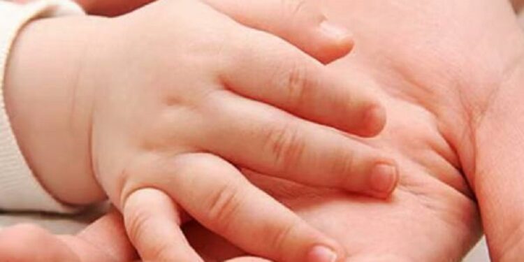 தேங்காய் விழுந்த நிலையில் பலியான குழந்தை!