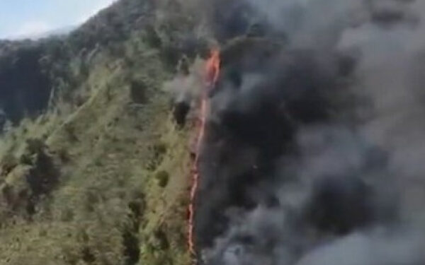 தலபத் கந்த வனப்பகுதியில் தீ விபத்து