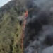 தலபத் கந்த வனப்பகுதியில் தீ விபத்து