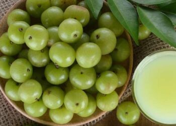 தினமும் நெல்லிக்காய் சாப்பிடுவதால் கிடைக்கும் நன்மைகள்!