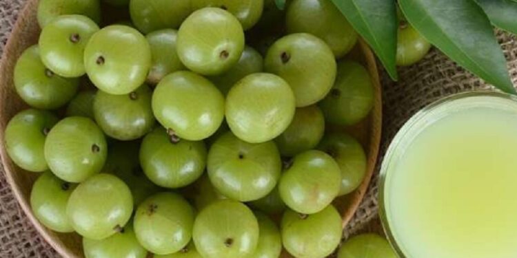 தினமும் நெல்லிக்காய் சாப்பிடுவதால் கிடைக்கும் நன்மைகள்!