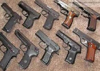 கிளிநொச்சியில் பொது மக்களிடம் சிக்கிய துப்பாக்கிகள்!