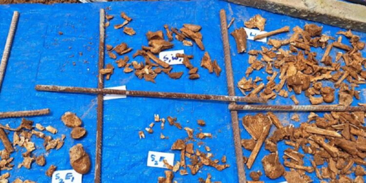 கொழும்பு துறைமுகத்தில் கண்டு பிடிக்கப்பட்ட எலும்புக் கூடுகள்!