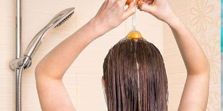 முடி உதிர்வுக்கு தீர்வு தரும் முட்டை!