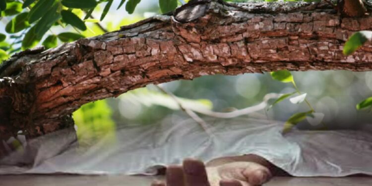 மரக்கிளை முறிந்து விழுந்ததில் பெண் பலி!