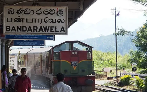 ரயிலில் இருந்து தவறி விழுந்த நபர் மரணம்!