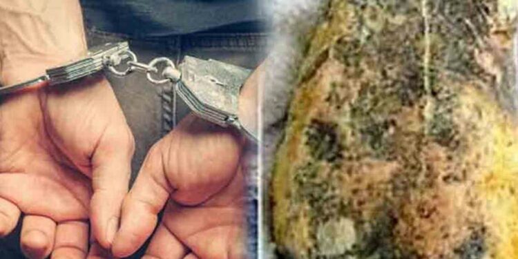 பல இலட்சம் பெறுமதியான அம்பர் தொகையுடன் ஒருவர் கைது!