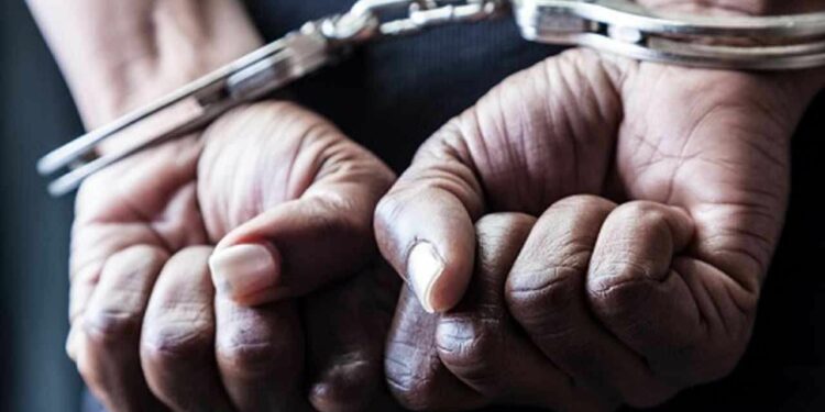 யாழில் பெருமளவிலான கஞ்சா மீட்பு!