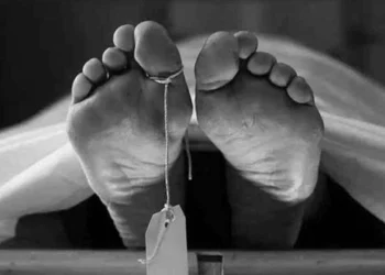 யாழில் உறக்கமின்மையால் விபரீத முடிவெடுத்த மூதாட்டி!